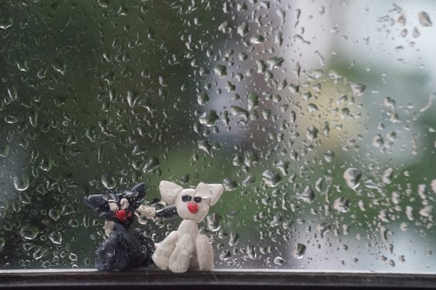 在一扇湿窗的背景上有两只猫在恋爱。图片下载