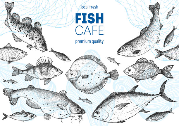 鱼素描集合。手绘矢量插图。海鲜框架矢量插图。食品菜单说明。手绘比目鱼，鲈鱼，鲶鱼，鲷鱼，鳕鱼，金枪鱼，鲑鱼。海和河的鱼。图片下载