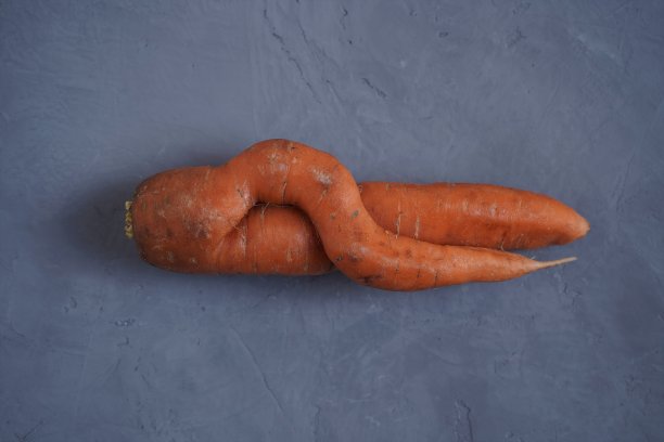 新鲜的丑陋的胡萝卜，灰色的背景，收集在一个蔬菜园。视图从上面,特写。图片下载