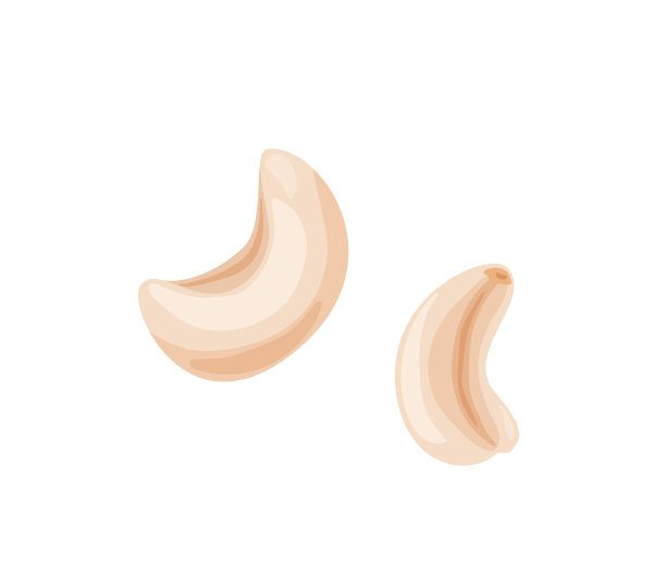 两个腰果在明亮的颜色卡通扁平风格孤立在白色背景。健康食物媒介说明。有机食物的概念图片下载