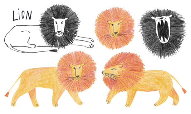 一套孤立的狮子插图。图片下载