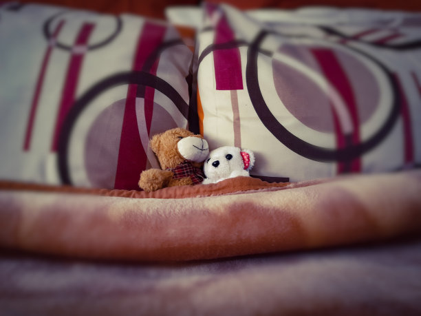 泰迪熊在一起图片下载