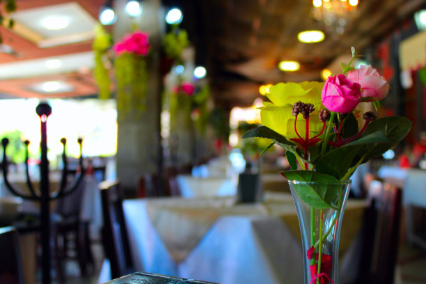 五颜六色的鲜花图片下载