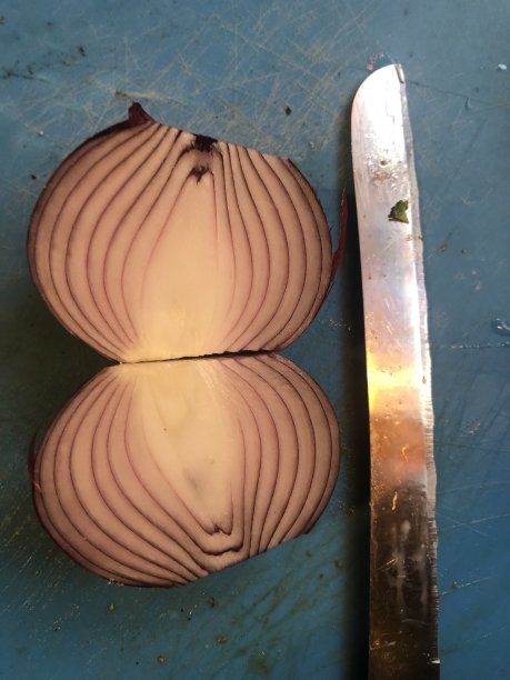 红色洋葱，用小刀和蓝色背景切成两半图片下载