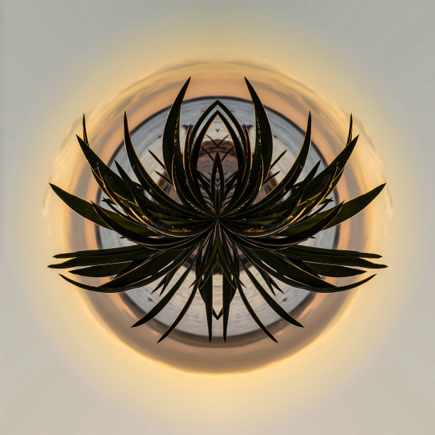 大型植物的星球。极坐标图片下载