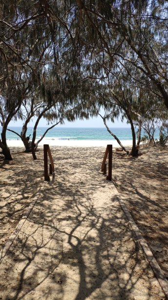 一条通往海滩的路图片下载