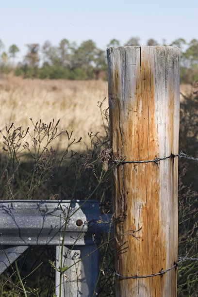旧木栅栏柱图片下载