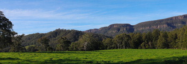 袋鼠谷郁郁葱葱的绿草树的全景背景山脉新南威尔士州澳大利亚图片下载