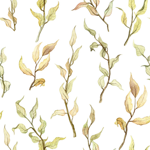 无缝墙纸与手绘水彩枯叶图片下载