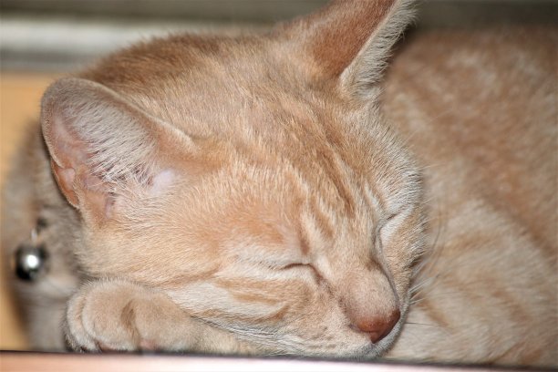 闲谈，聊天图片下载