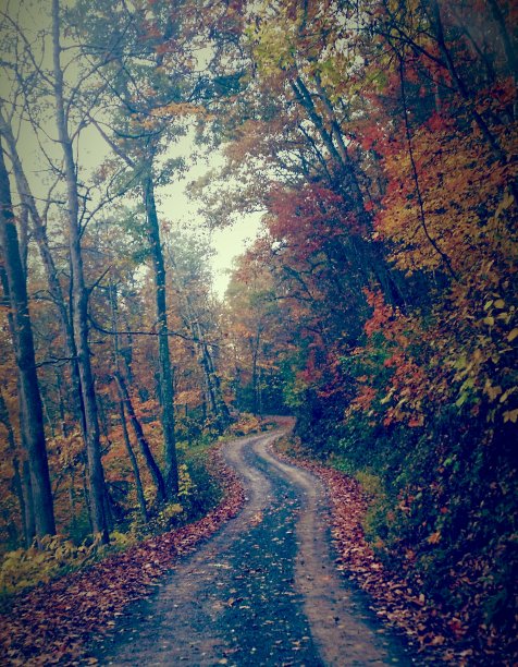 瓦托加图片下载