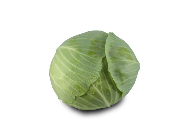 卷心菜孤立与拷贝空间上的白色背景。图片下载
