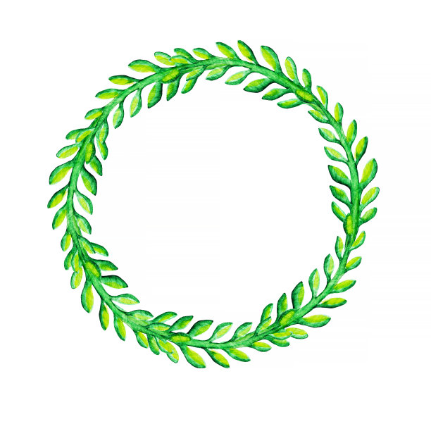 草药水彩圈花环框架模板与文本复制空间。手画的叶子，草。图片下载