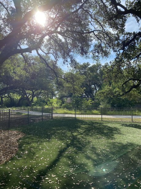 狗公园图片下载