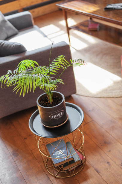 在阁楼风格的室内咖啡桌上放置一盆带有“家”字样的盆栽。图片下载