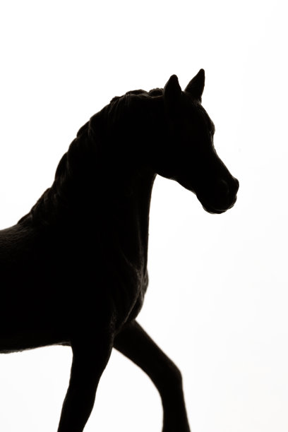 马的轮廓图片下载