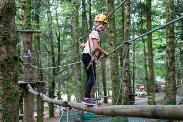 爬树活动装置林地。一个孩子在木条上行走。图片下载