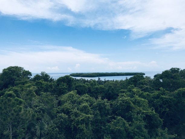 树梢的声音视图图片下载