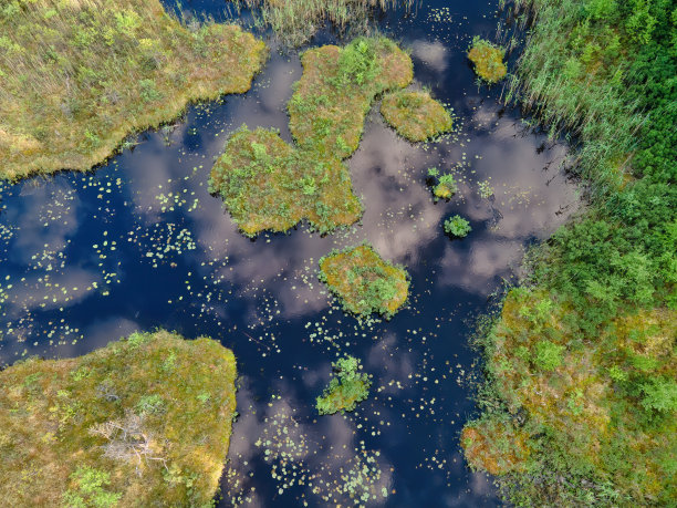 湿地公园图片下载