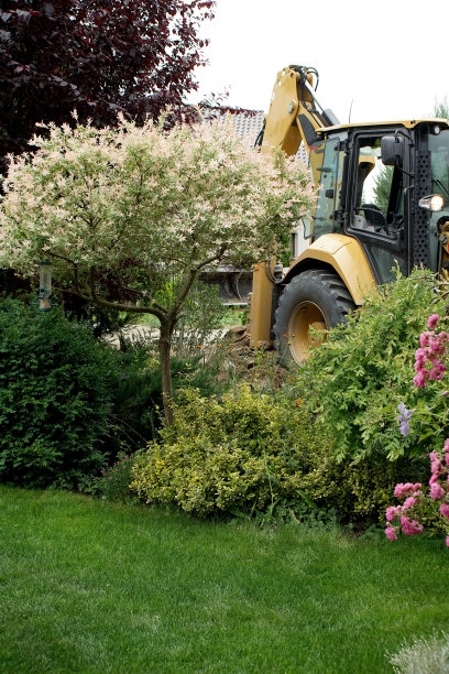 后院花园和挖掘机的背景图片下载