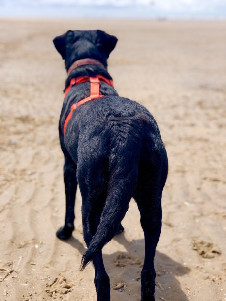 我准备沿着海滩跑步图片下载