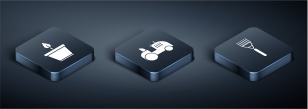 在花盆中种植等距植物图片下载