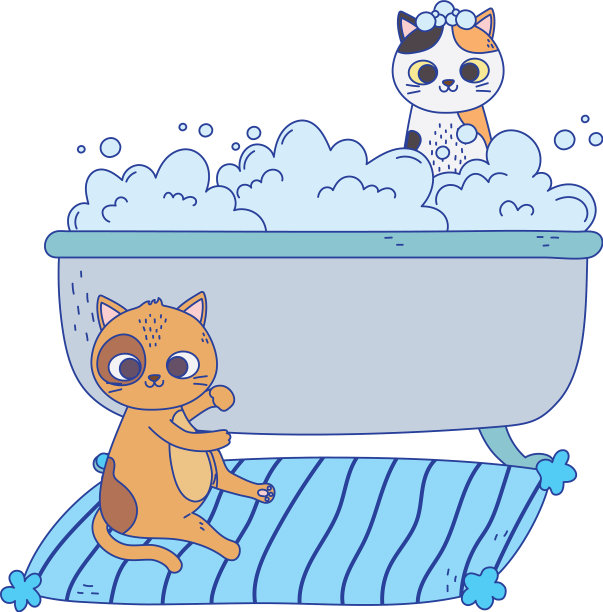 猫使我快乐，猫在地毯和小猫图片下载