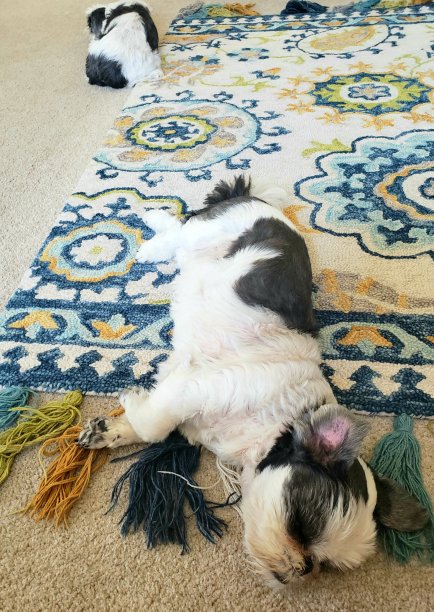 午睡分开图片下载