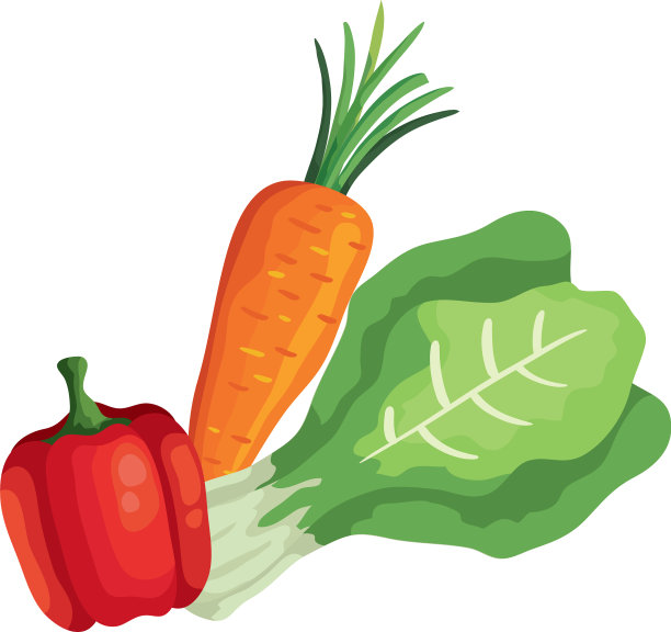 新鲜胡萝卜配胡椒和甜菜蔬菜图片下载