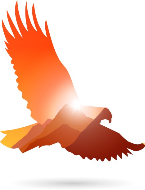 轮廓的鹰图片下载