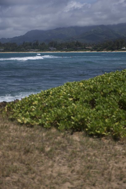 北岸的某个地方图片下载
