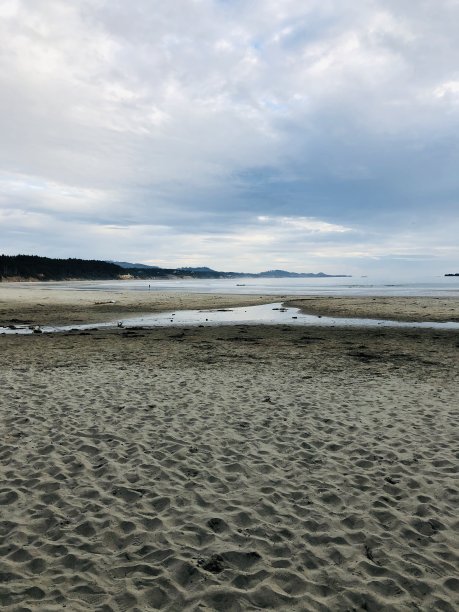 低潮太平洋图片下载