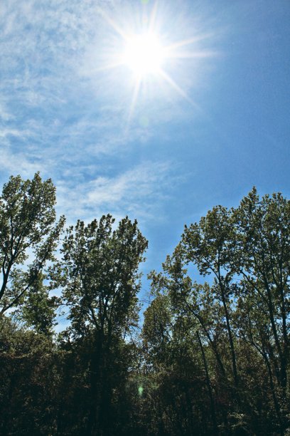 美丽的太阳图片下载