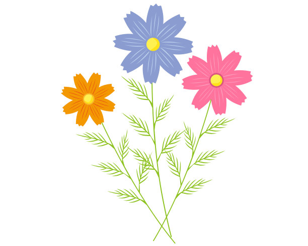 矢量插图的宇宙花盛开在秋天。图片下载