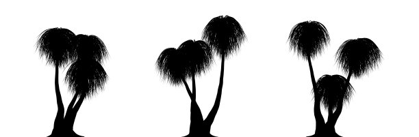 三个热带植物的黑色剪影在白色的背景上靠近图片下载