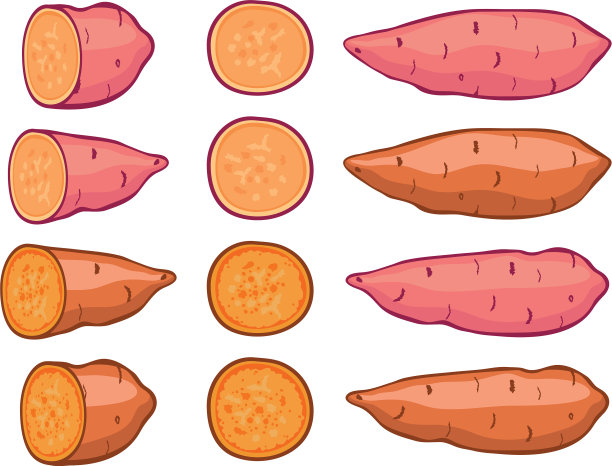 甘薯组图片下载