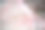 日本奈良的樱花花瓣在春天飘落在地上，这是公园道路街道上模糊的背景图片下载