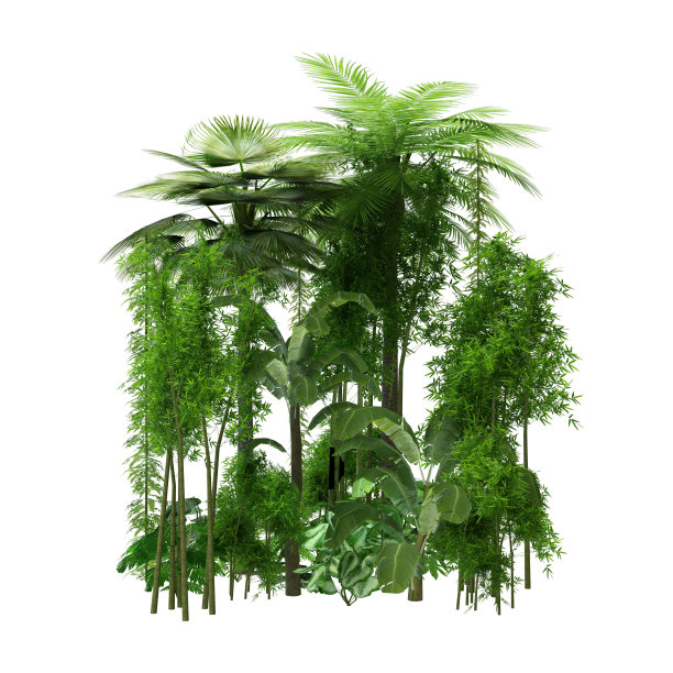 3D插图丛林植物上的白色图片下载