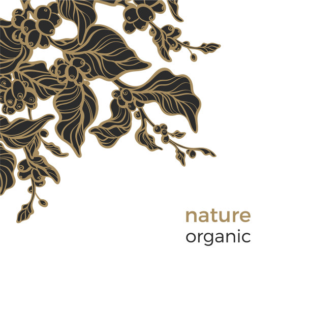 模板自然咖啡3图片下载