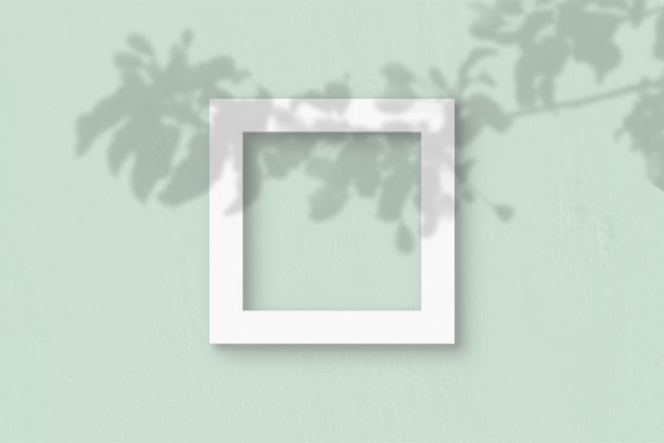 在浅绿色的墙壁背景上，方形的白色纹理纸。模型与植物阴影覆盖。自然光在外来植物的叶子上投下阴影。平躺，俯视图图片下载