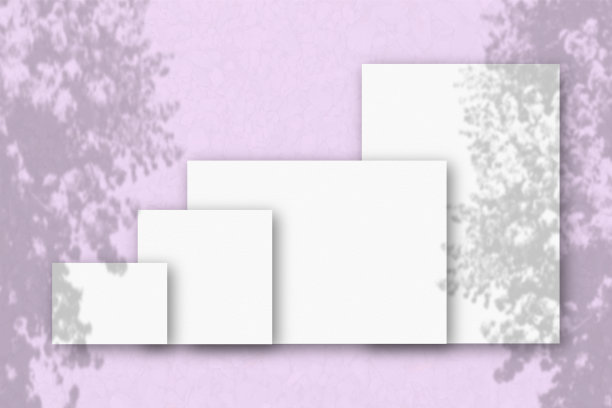 几张水平和垂直的白色纹理纸映衬着粉红色的墙壁背景。模型与植物阴影覆盖。自然光线在热带植物上投下阴影图片下载