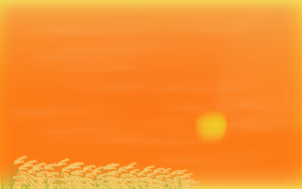 背景材料，收获的水稻和日落的插图图片下载