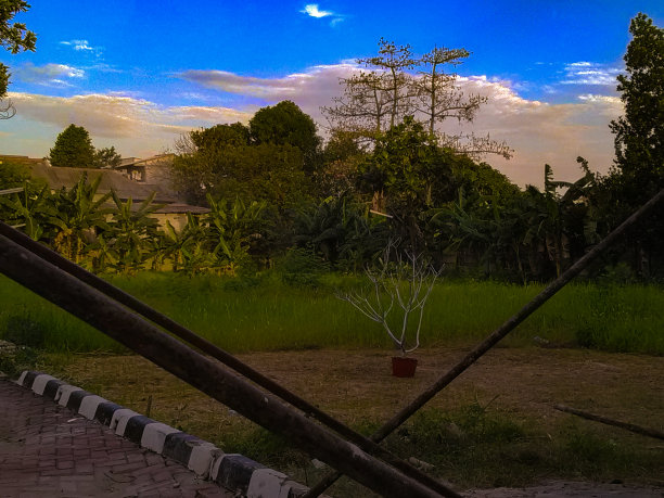 花园在学校图片下载