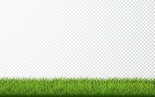 绿色的草边界设置在透明的背景图片下载