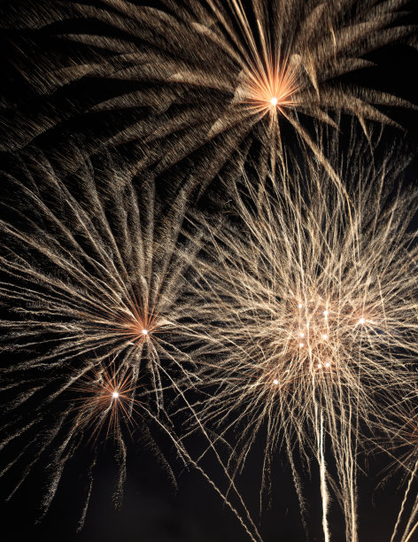 巨大明亮的烟花在夜空中图片下载