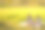 幸福的生活概念。两个可爱的白种女孩在公园的草地上玩得很开心，玩得很开心，都很开心图片下载