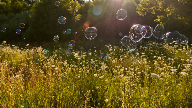 明亮闪亮的肥皂泡在鲜花草地和阳光的背景上。图片下载