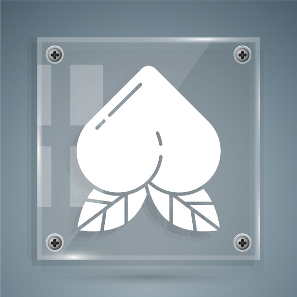 白色的水蜜桃果实或油桃，带有叶子的图标图片下载