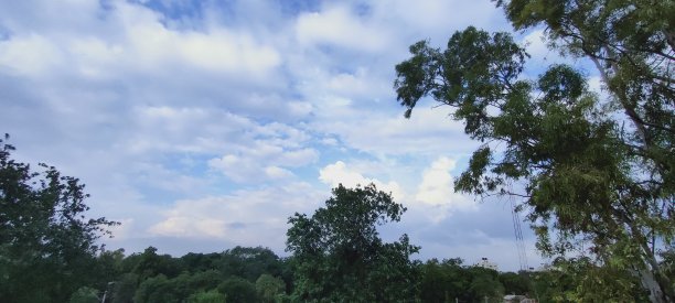 季风性图片下载