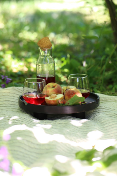 野餐在大自然中图片下载